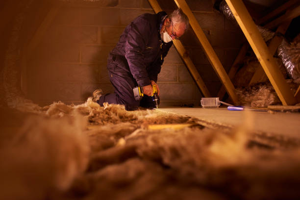Types of Insulation We Offer in Van Buren, AR